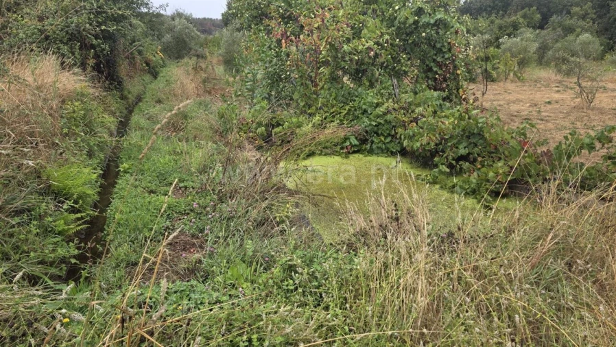 Terreno para Venda em Souto da Casa Foto 5