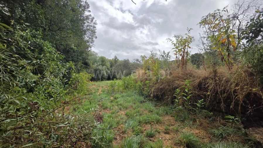 Terreno para Venda em Souto da Casa Foto 16