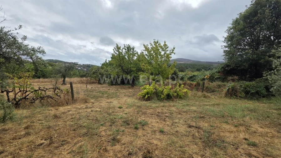 Terreno para Venda em Souto da Casa Foto 11