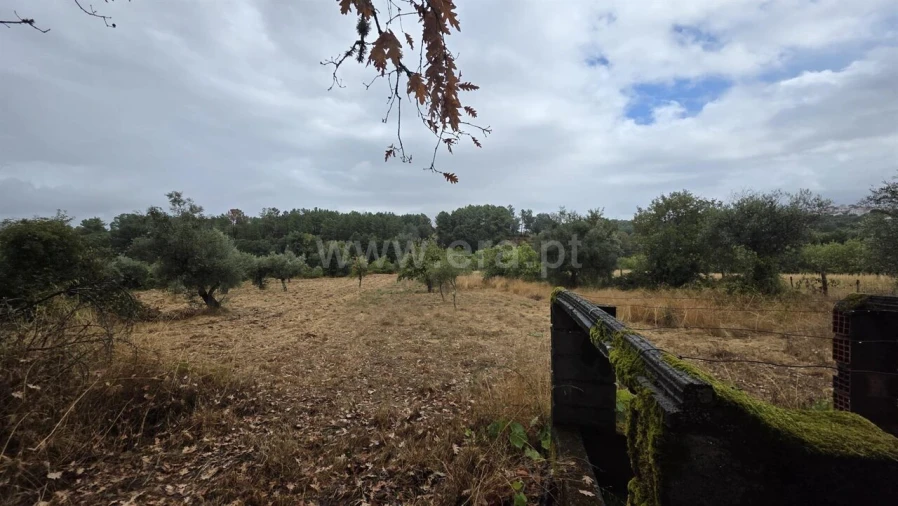 Terreno para Venda em Souto da Casa Foto 2