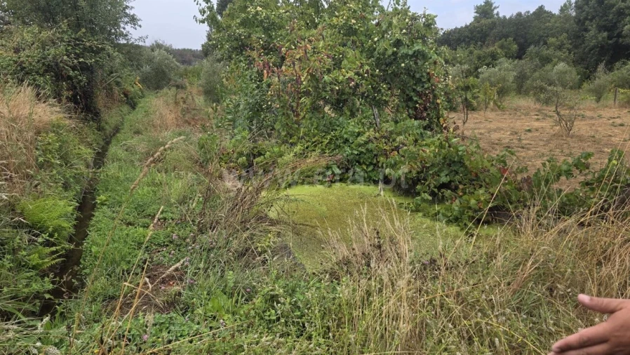 Terreno para Venda em Souto da Casa Foto 8