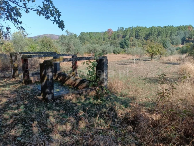 Terreno para Venda em Souto da Casa Foto 3