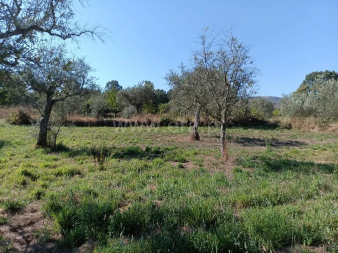 Terreno para Venda em Souto da Casa Foto 4