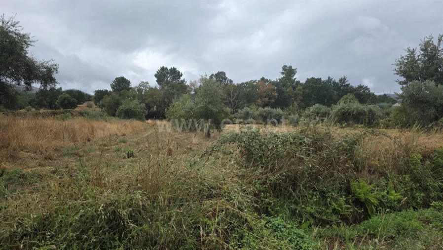 Terreno para Venda em Souto da Casa Foto 7