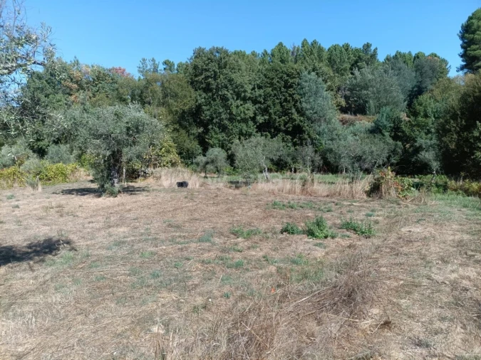 Terreno para Venda em Souto da Casa Foto 7