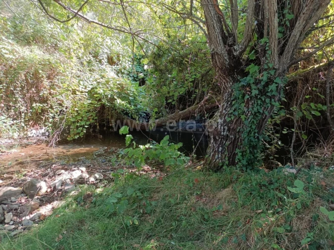 Terreno para Venda em Souto da Casa Foto 18