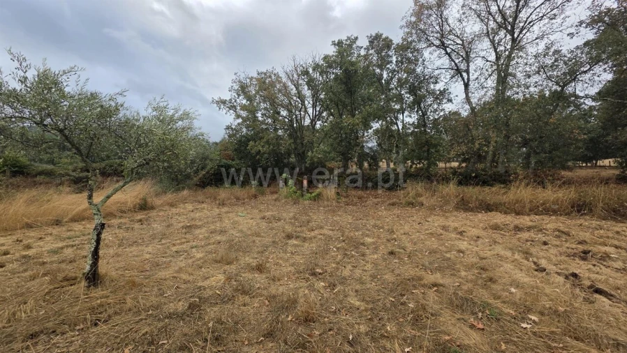 Terreno para Venda em Souto da Casa Foto 3