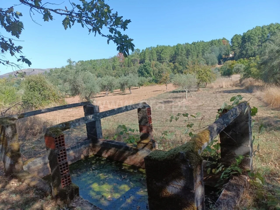 Terreno para Venda em Souto da Casa Foto 2