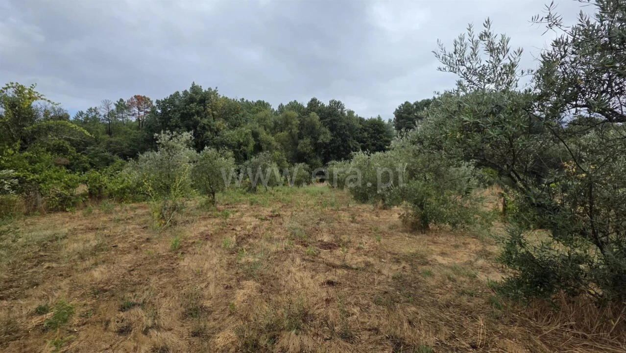 Terreno para Venda em Souto da Casa Foto 10