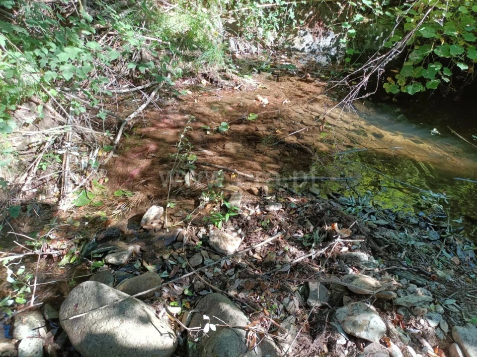 Terreno para Venda em Souto da Casa Foto 11