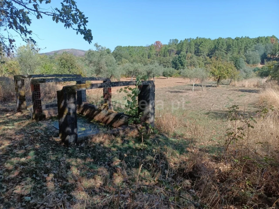 Terreno para Venda em Souto da Casa Foto 3