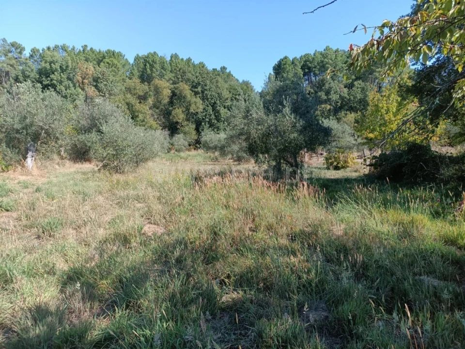Terreno para Venda em Souto da Casa Foto 17