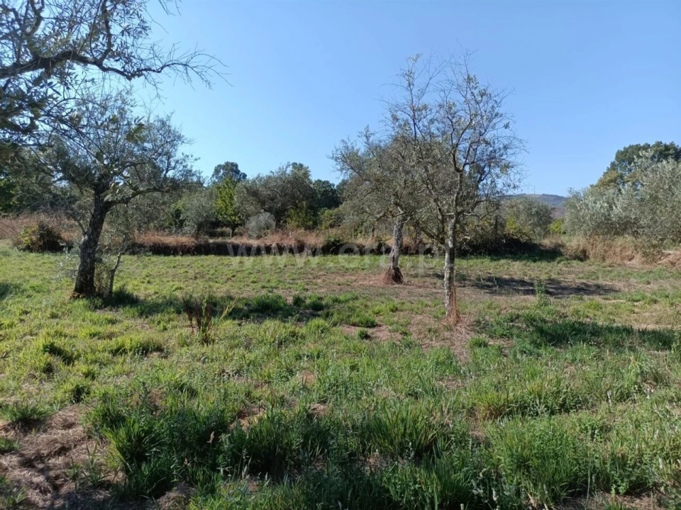 Terreno para Venda em Souto da Casa Foto 4