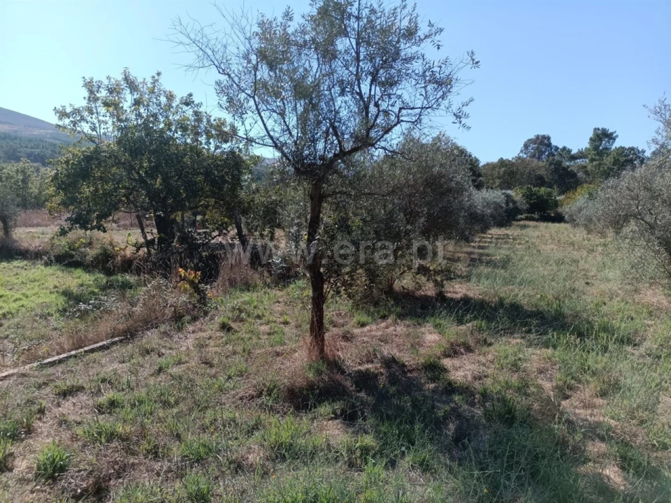 Terreno para Venda em Souto da Casa Foto 6