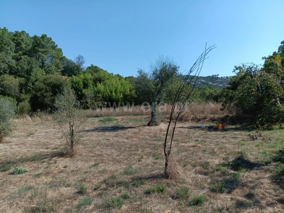 Terreno para Venda em Souto da Casa Foto 14