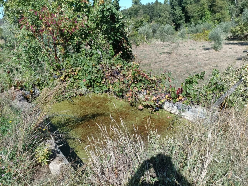 Terreno para Venda em Souto da Casa Foto 16