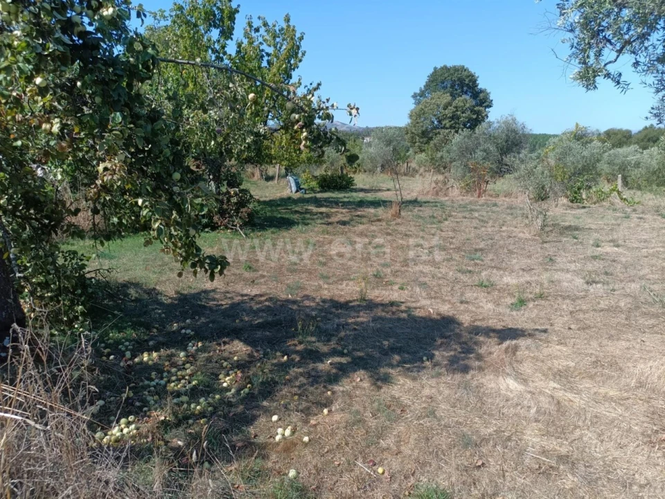Terreno para Venda em Souto da Casa Foto 15