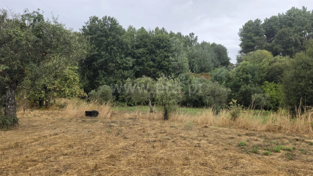 Terreno para Venda em Souto da Casa Foto 17