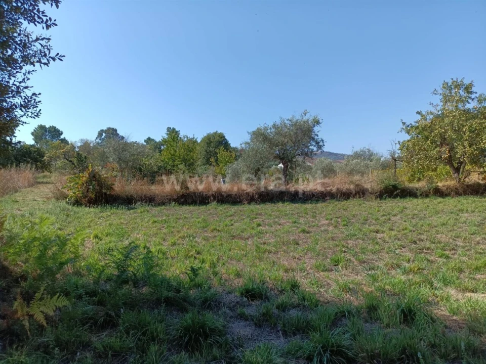 Terreno para Venda em Souto da Casa Foto 9