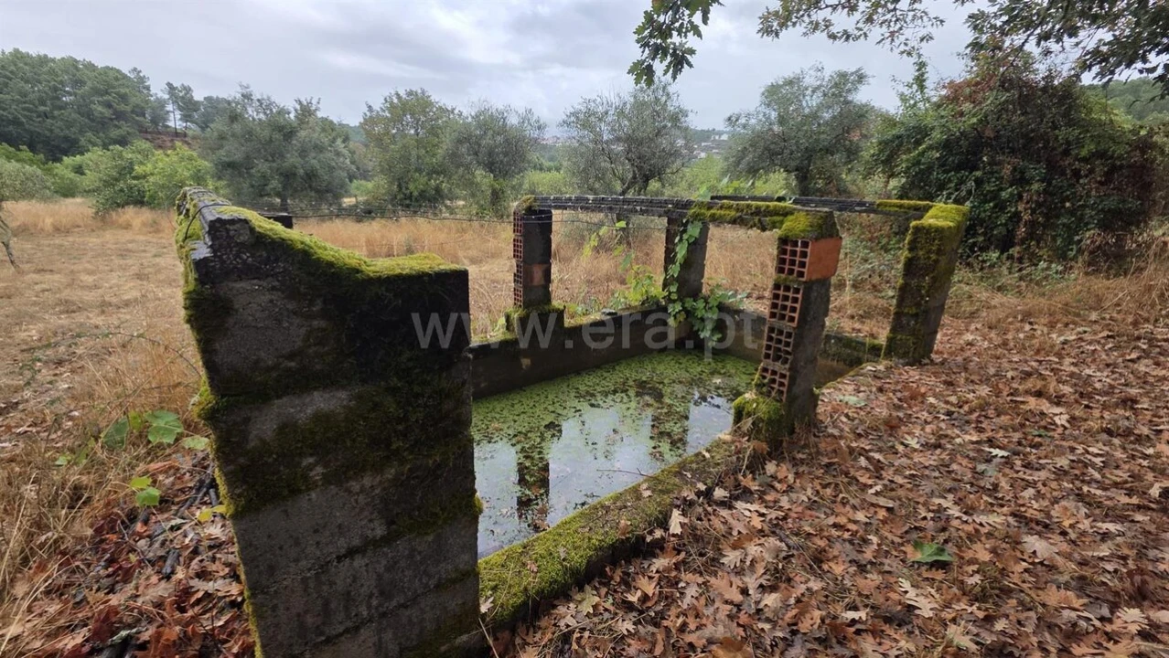 Terreno para Venda em Souto da Casa Foto 4