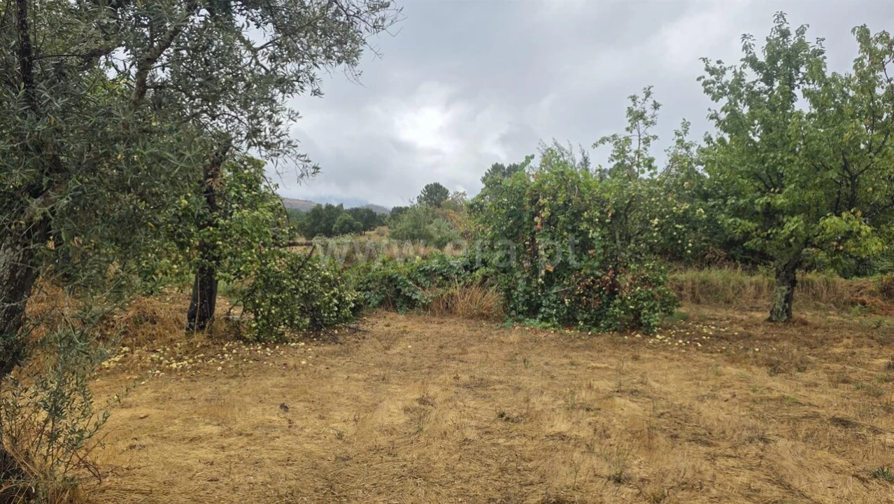 Terreno para Venda em Souto da Casa Foto 9