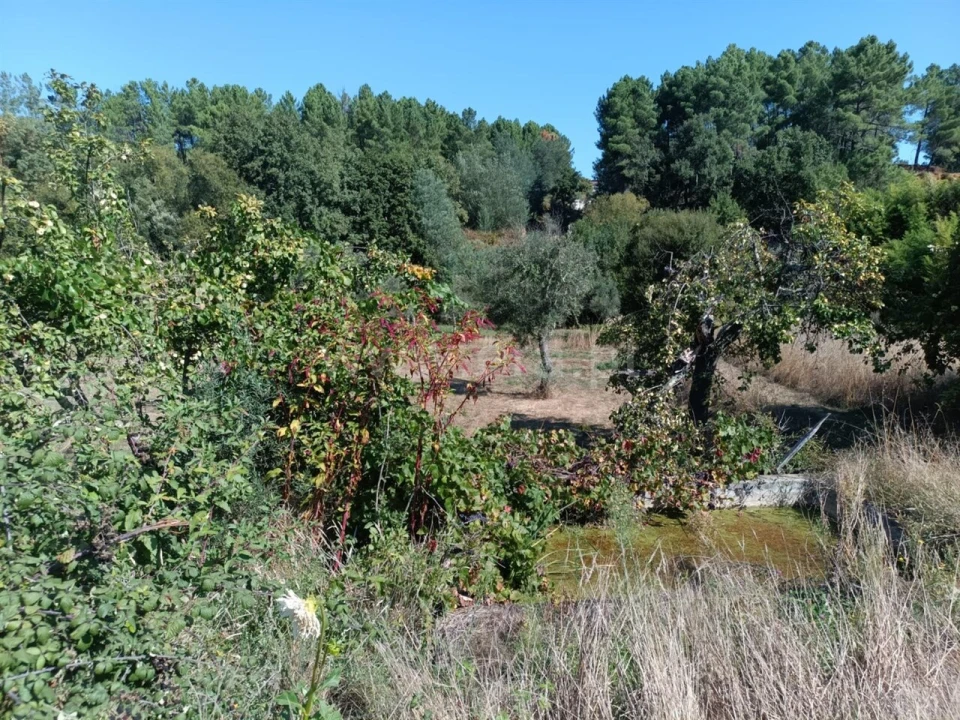 Terreno para Venda em Souto da Casa Foto 20