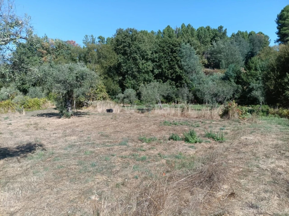 Terreno para Venda em Souto da Casa Foto 7