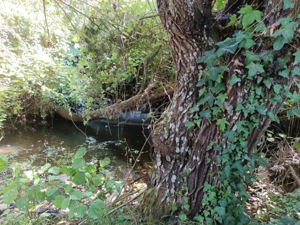 Terreno para Venda em Souto da Casa Foto 12