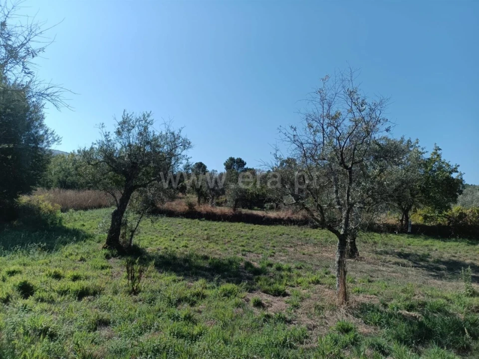 Terreno para Venda em Souto da Casa Foto 10