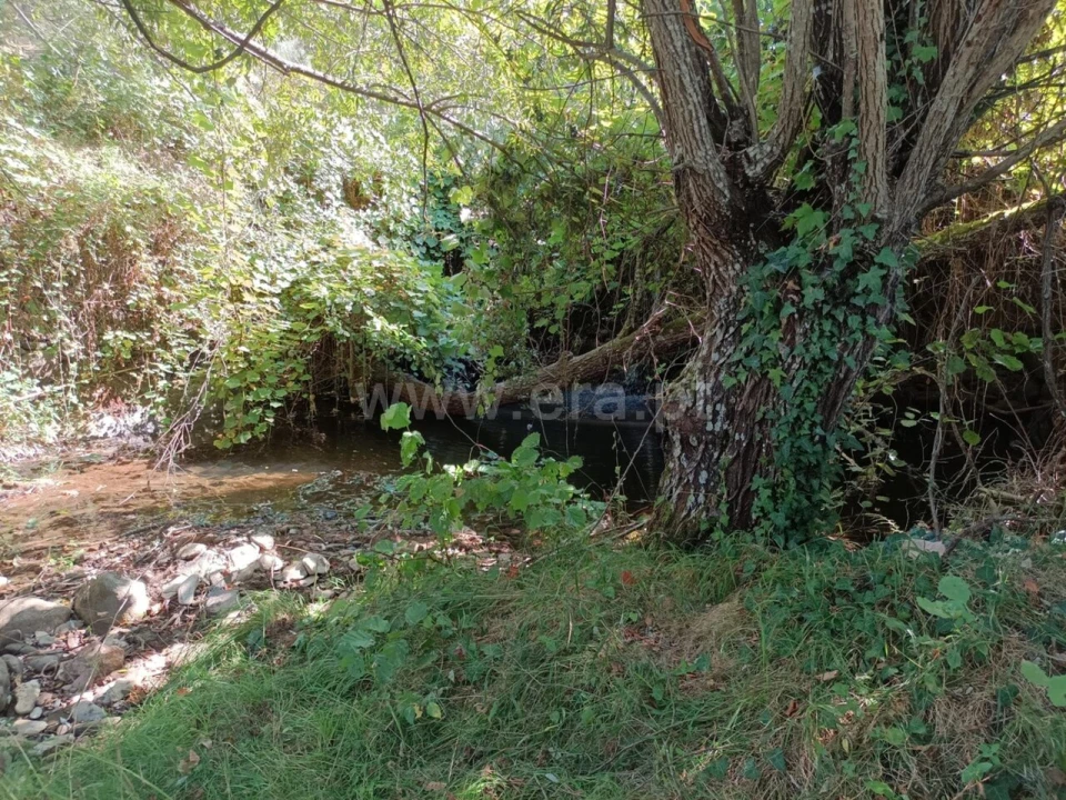 Terreno para Venda em Souto da Casa Foto 18
