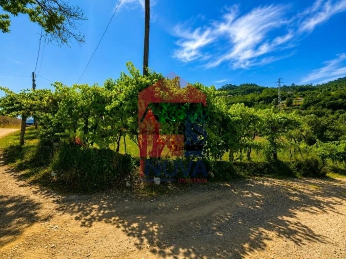 Terreno para Venda em Ribeira do Neiva Foto 12