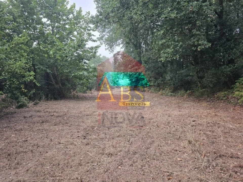Terreno para Venda em Pico Foto 29