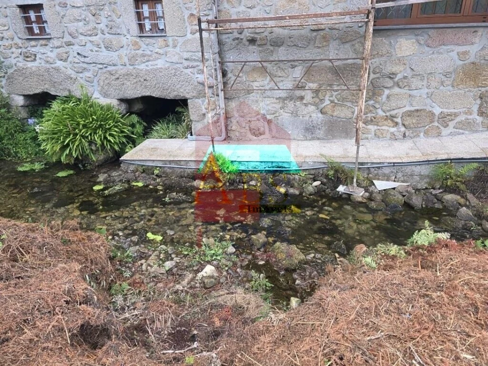 Terreno para Venda em Pico Foto 34