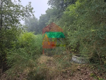 Terreno para Venda em Pico