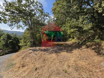 Terreno para Venda em Pico