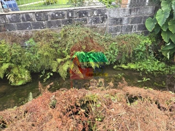 Terreno para Venda em Pico