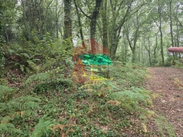 Terreno para Venda em Pico