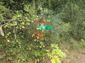 Terreno para Venda em Pico