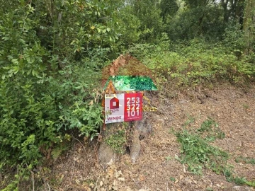 Terreno para Venda em Pico