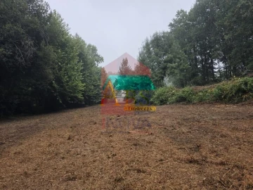 Terreno para Venda em Pico