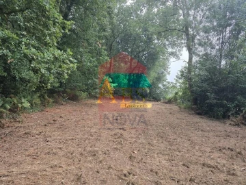 Terreno para Venda em Pico