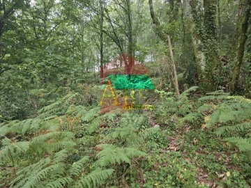 Terreno para Venda em Pico