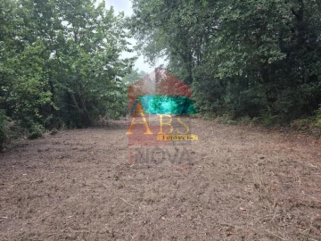 Terreno para Venda em Pico