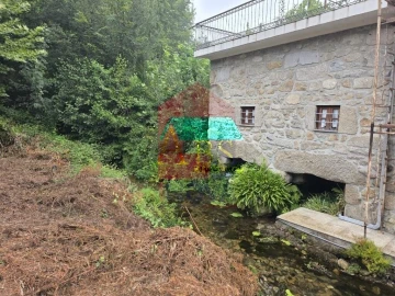 Terreno para Venda em Pico