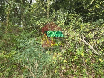 Terreno para Venda em Pico