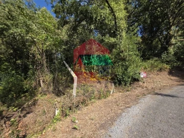 Terreno para Venda em Pico