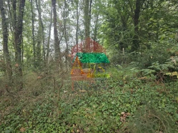 Terreno para Venda em Pico