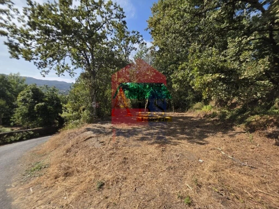 Terreno para Venda em Pico Foto 2