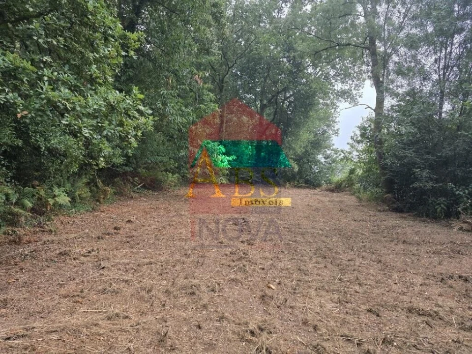 Terreno para Venda em Pico Foto 6