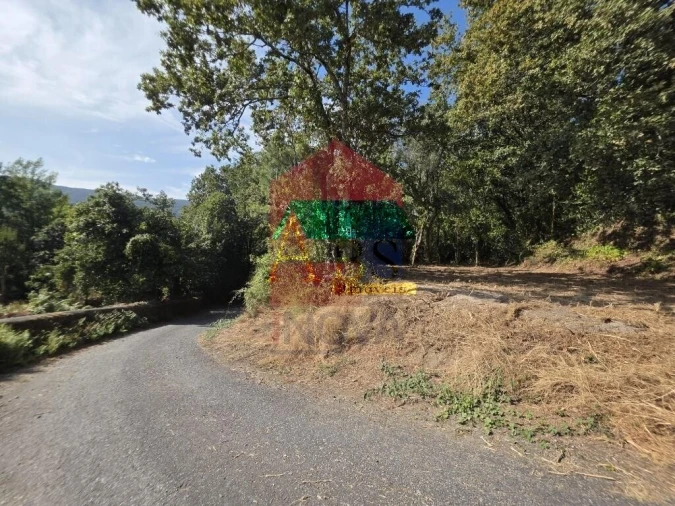 Terreno para Venda em Pico Foto 41